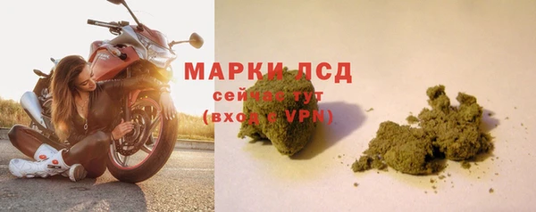 прущие крисы Киренск