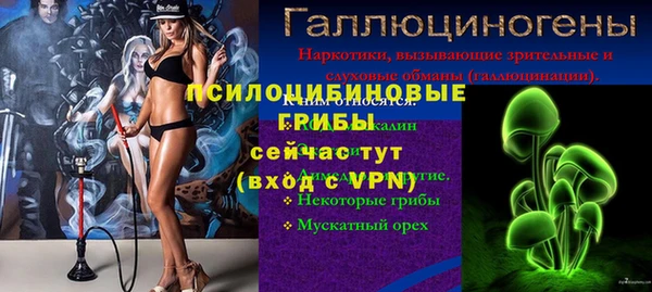 mdpv Киреевск