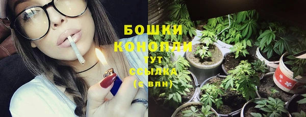 прущие крисы Киренск