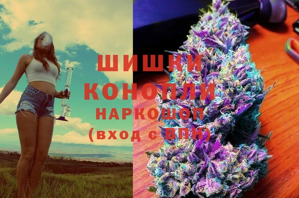 прущие крисы Киренск