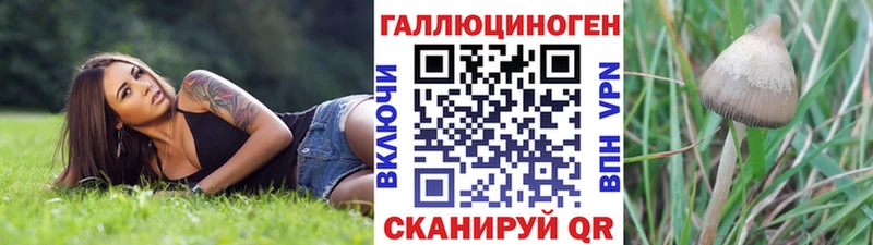 купить наркотики сайты  Северск  Галлюциногенные грибы мицелий 